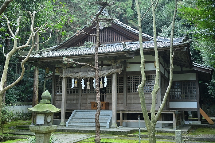 s-DSC_0306