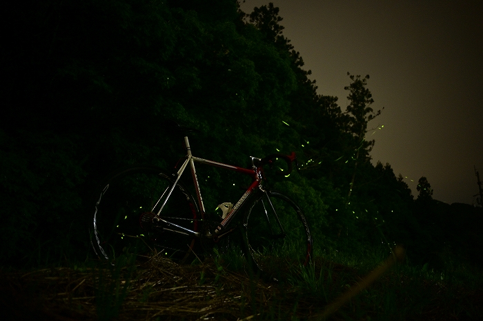 s-DSC_6489