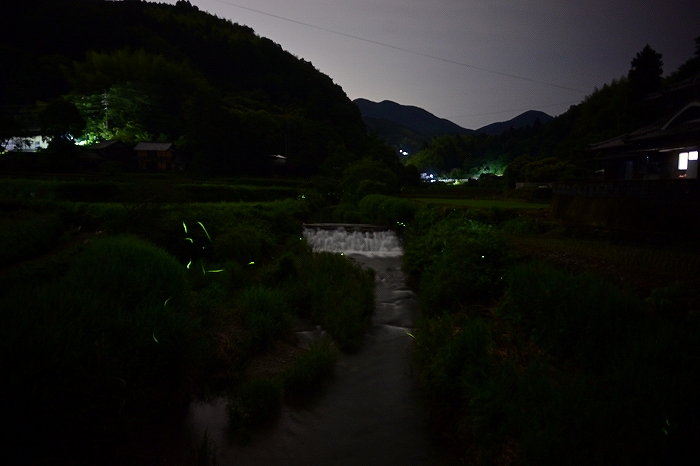 s-DSC_6496