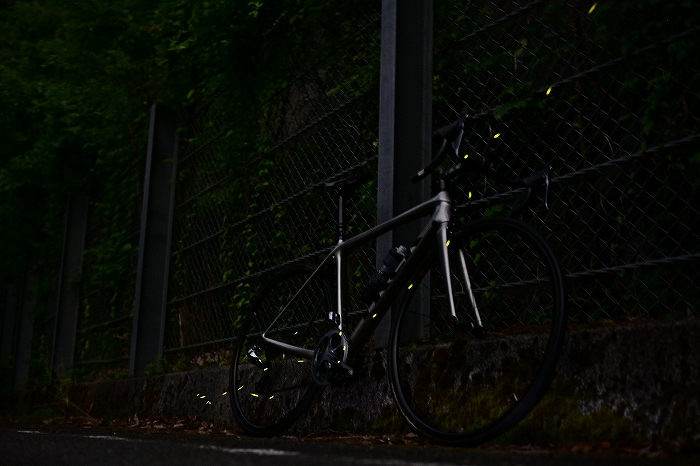 s-DSC_6884