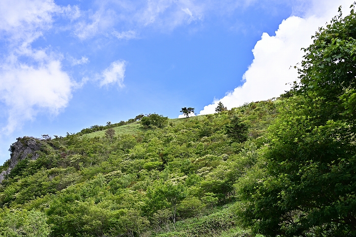 s-DSC_7884
