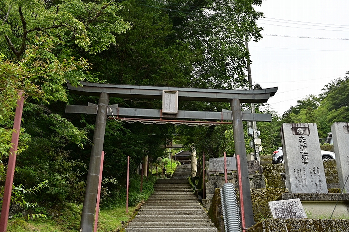 s-DSC_7942