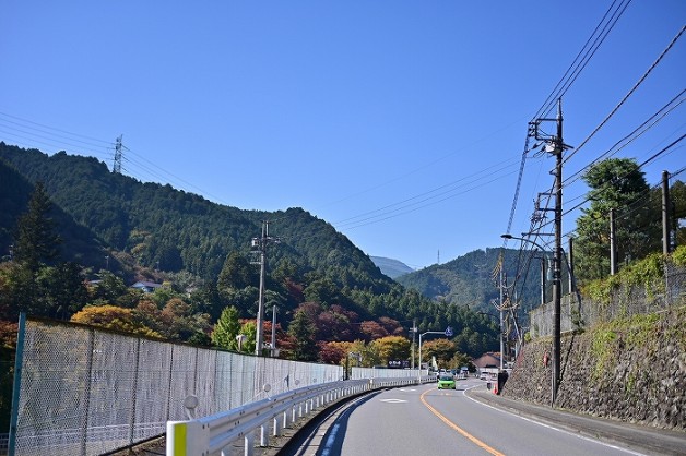 s-DSC_0520