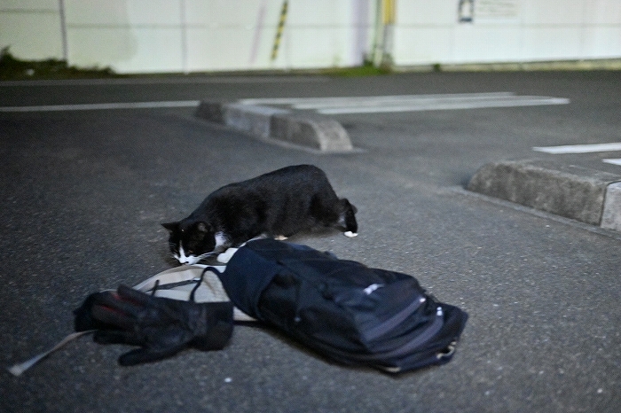 S-S__8822842_0