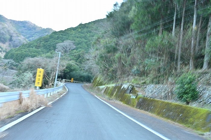 S-S__8822852_0