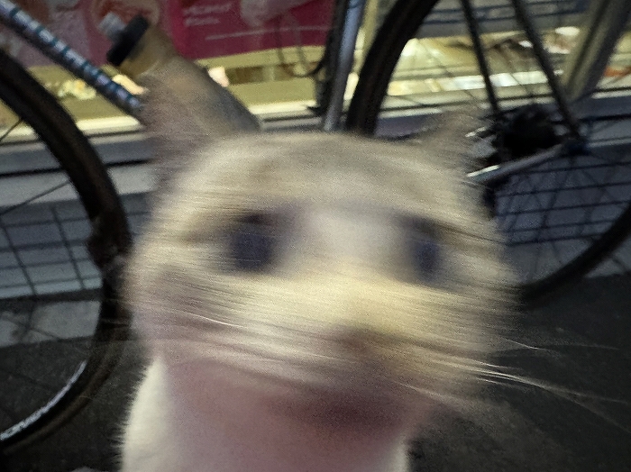 S-S__8822857_0