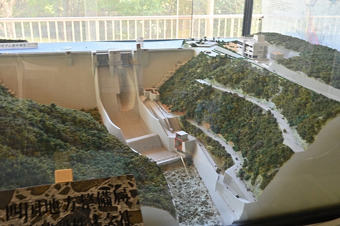 S-S__8822876_0