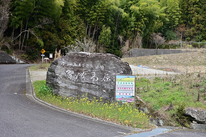 S-DSC_2882