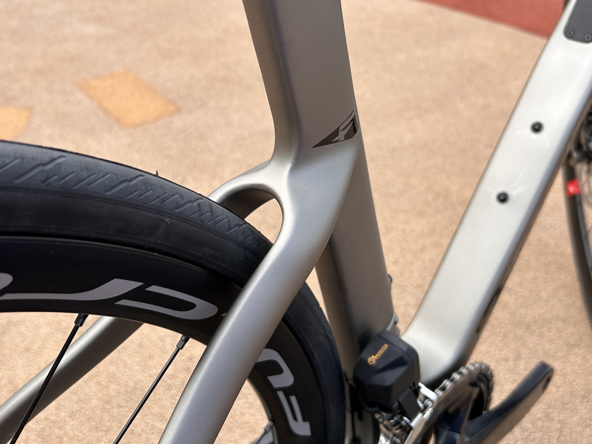 【WUP対象】DOGMA Fの技術を継承した有能すぎる弟が入荷‼いや～ピナさんは芸術品よ～!? | Y's Road 松山店エミフルMASAKI