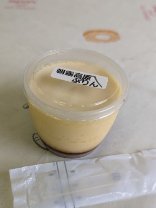 fujiichi-08