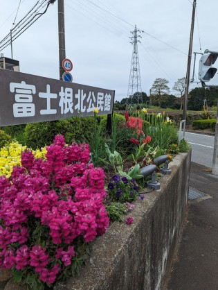 fujiichi-12