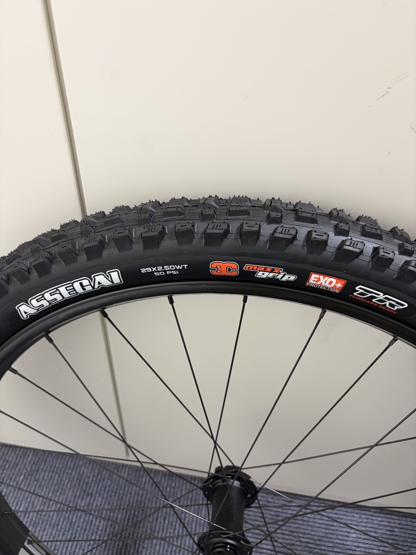 maxxis_assegai