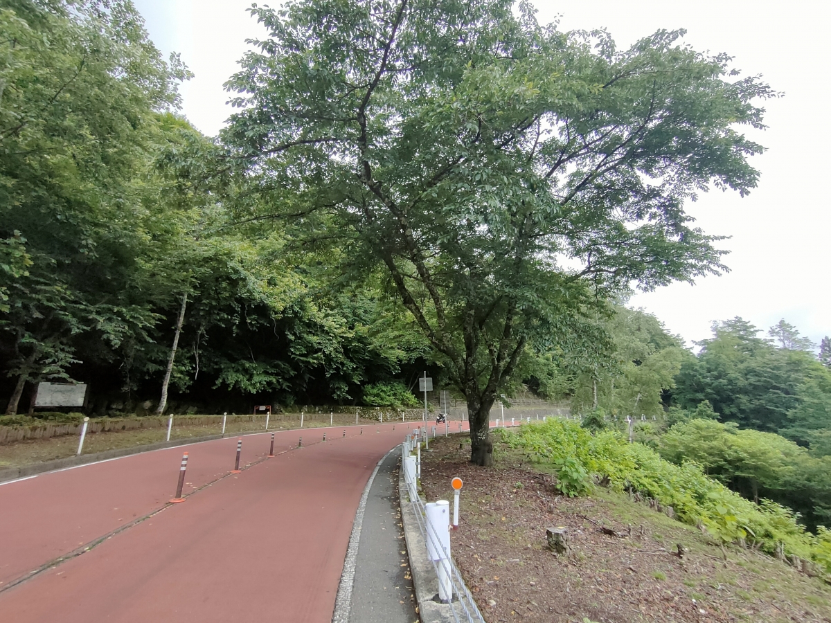 IMG20260719091718