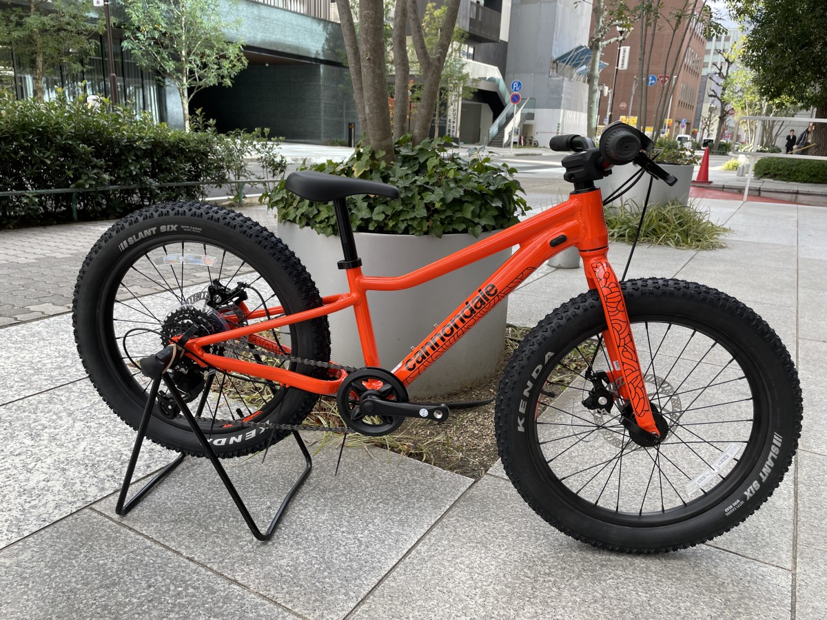 cannondale KIDS TRAIL