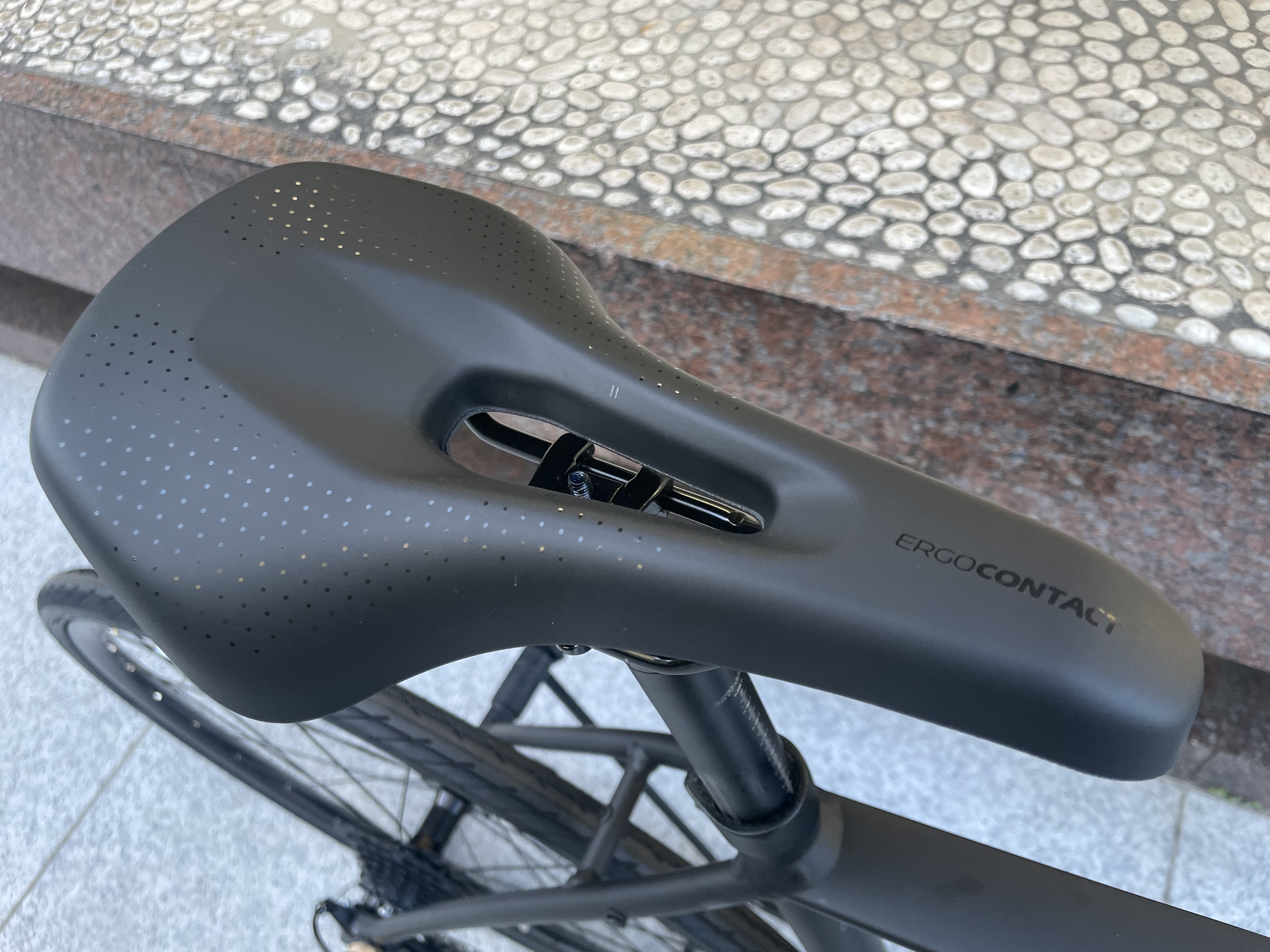 GIANT ESCAPE RX2