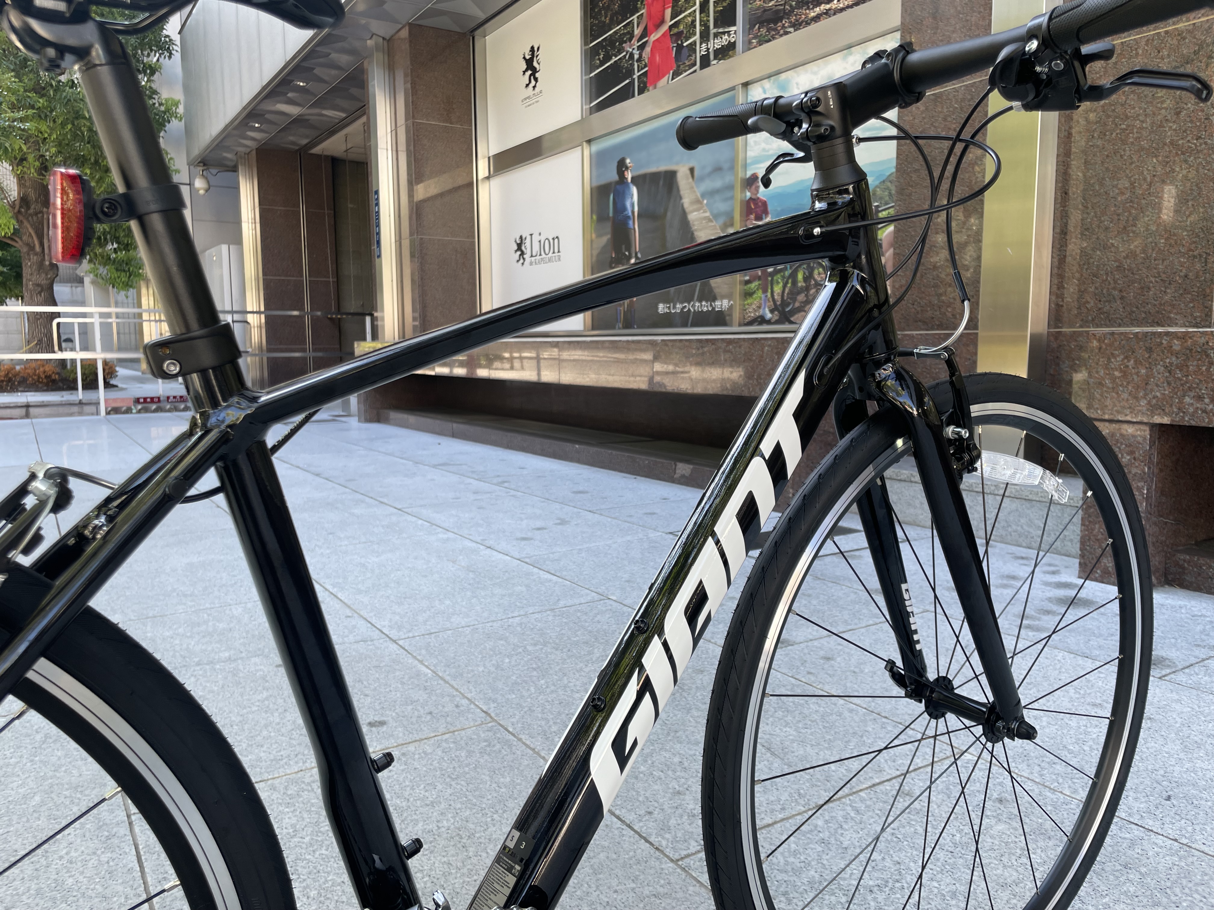 GIANT ESCAPE RX3