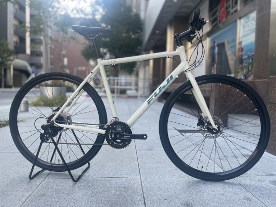 FUJI RAIZ DISC
