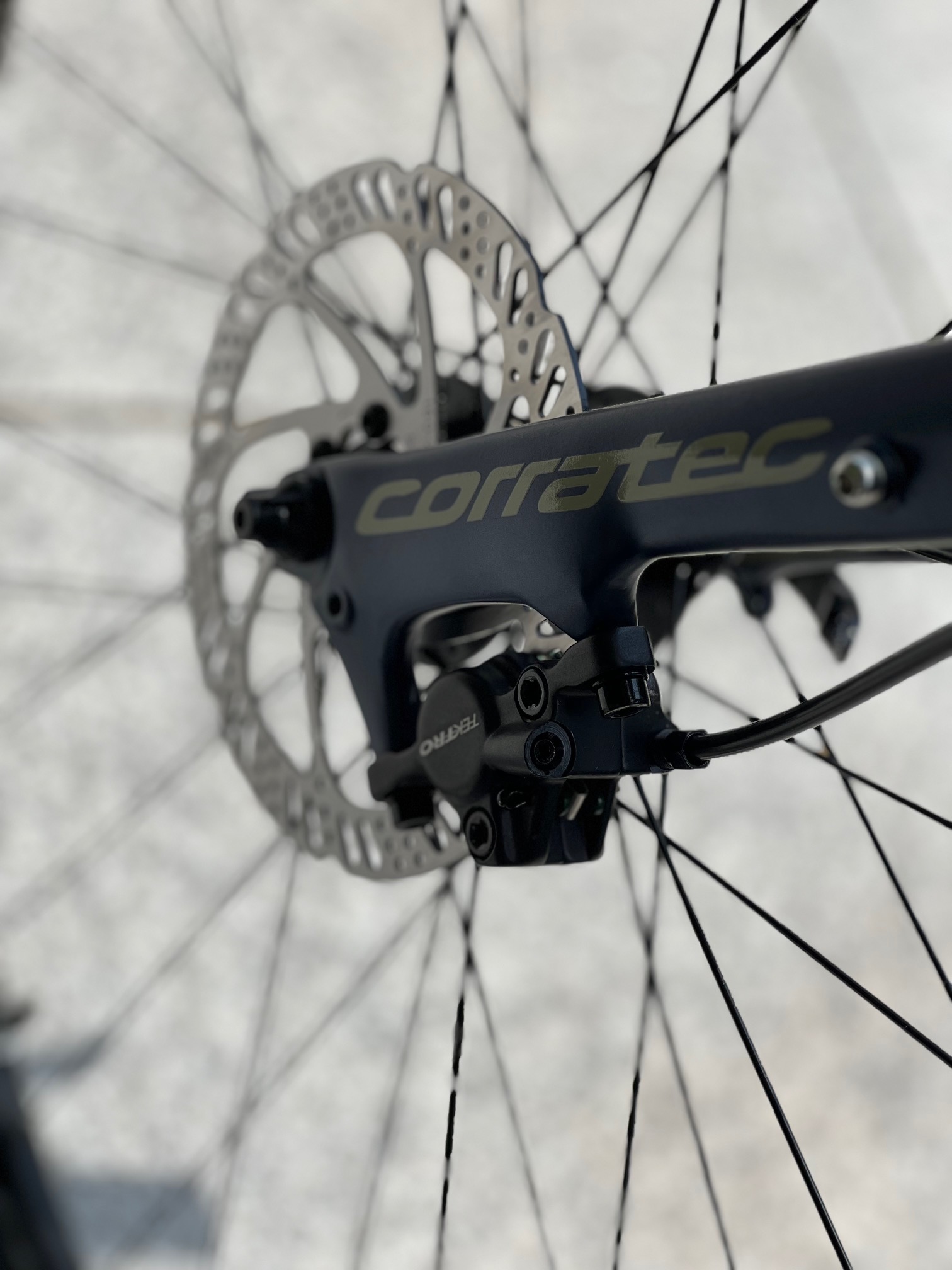SHAPE URBAN DISC2