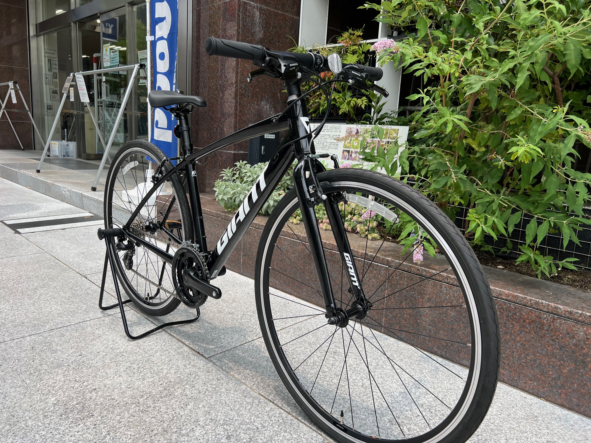 ESCAPE RX3