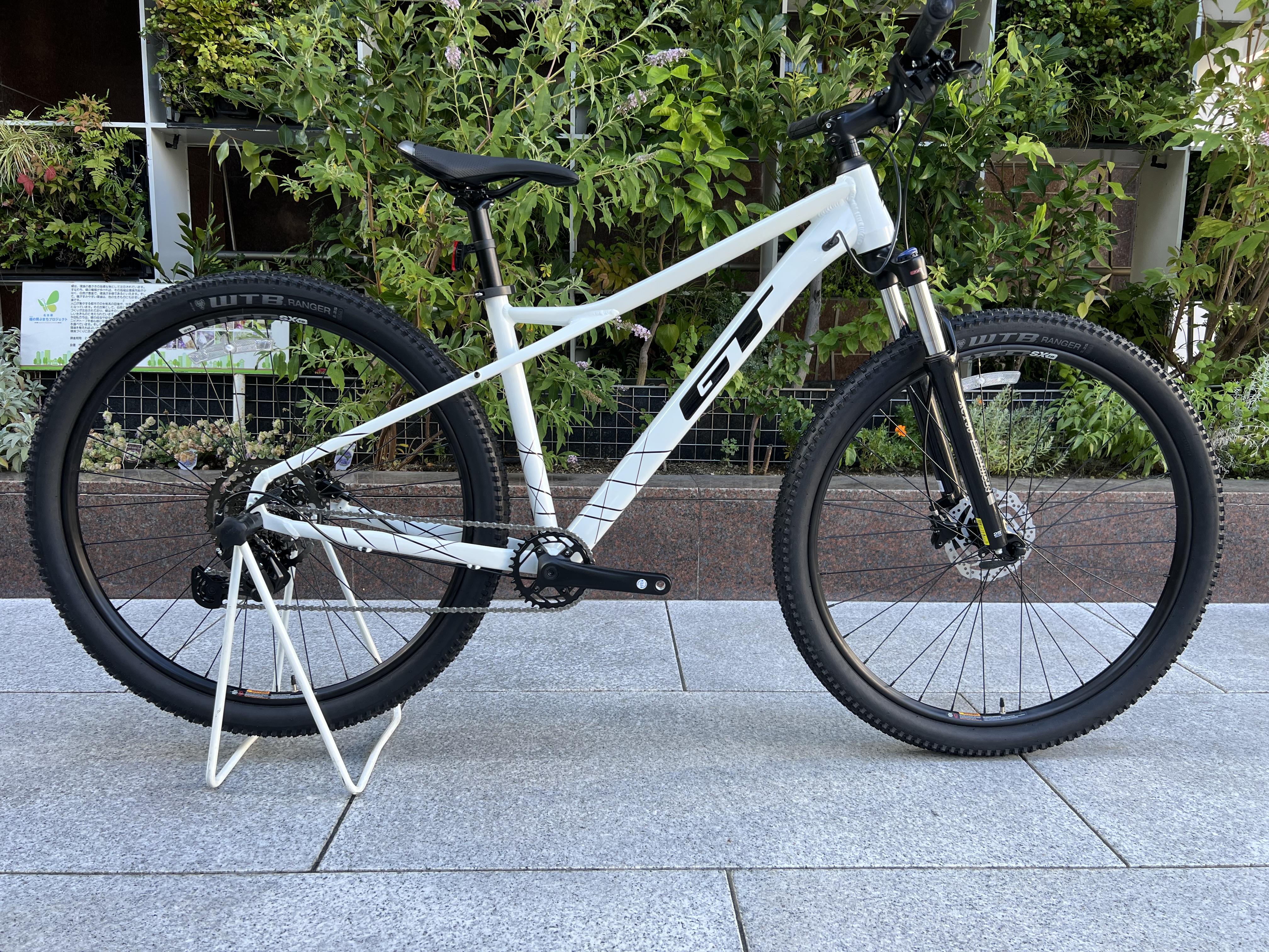 AVALANCHE SPORT 29