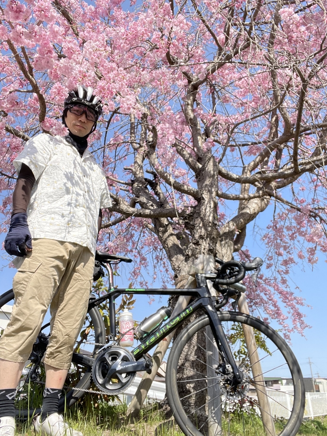 RIN PROJECT ｽﾄﾚｯﾁｻｲｸﾙｼｮｰﾄﾊﾟﾝﾂ ｻｲｸﾘｽﾄｱﾛﾊ ﾊﾞｰｶﾞｰ カジュアルコーデ スタッフコーデ 桜 AACR