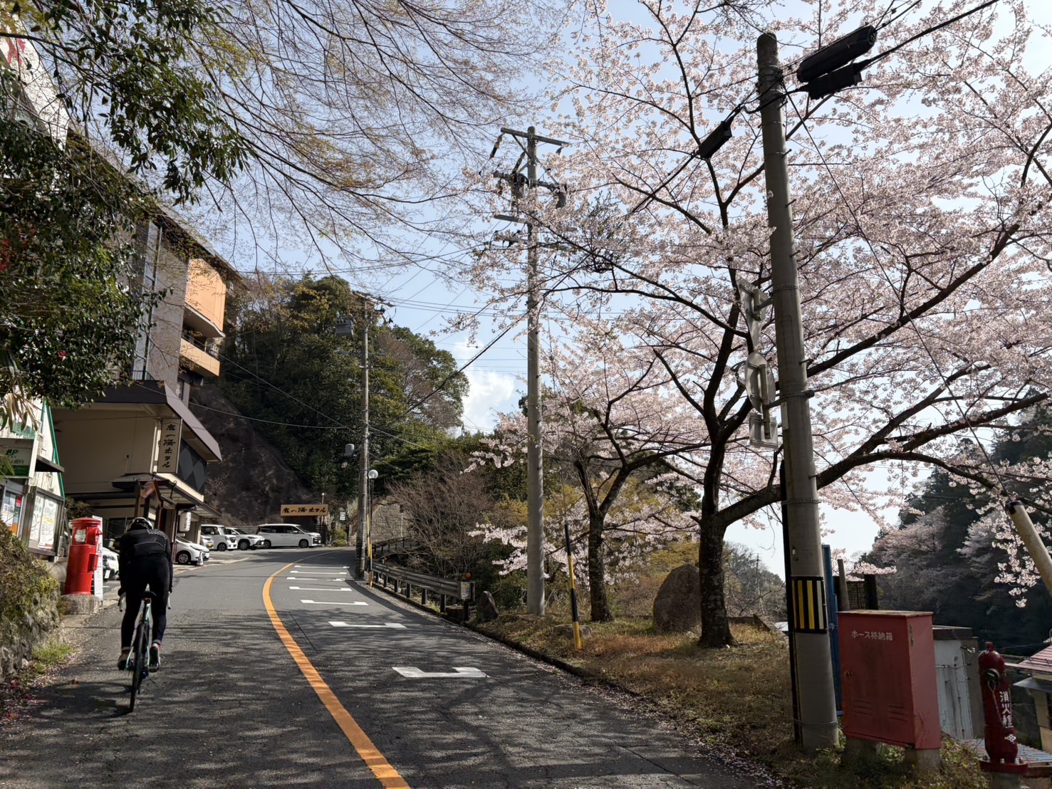 ロードバイクって痩せるの？自転車屋スタッフが徹底解説！ | 東海地区で自転車をお探しならY's Road 名古屋本館