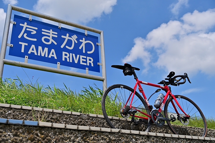 S-S__9420860_0