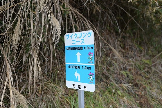 S-S__10616980_0