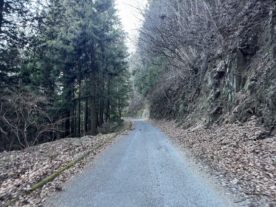 S-S__10682383_0