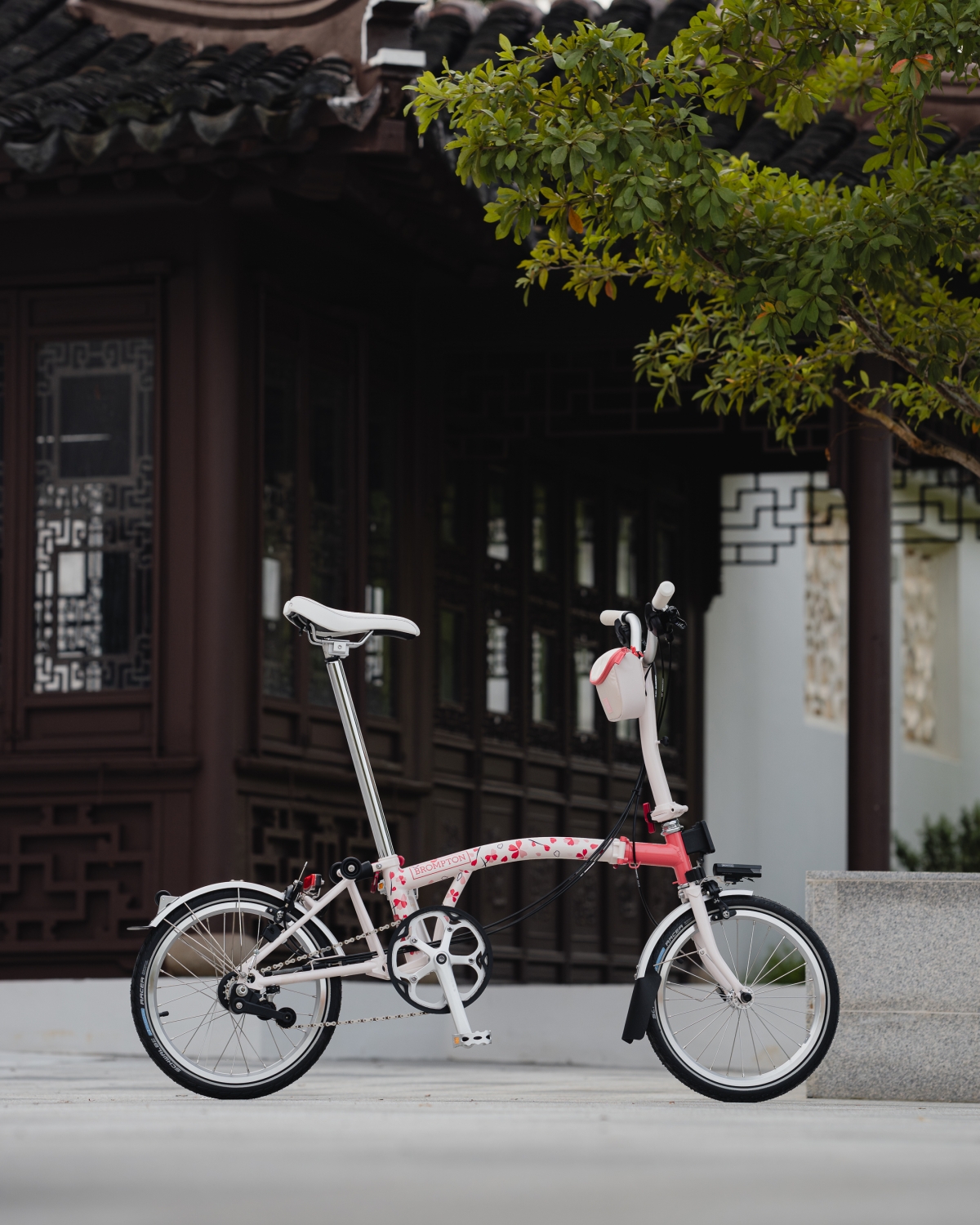 Brompton Cherry Blossom_Retail (1)
