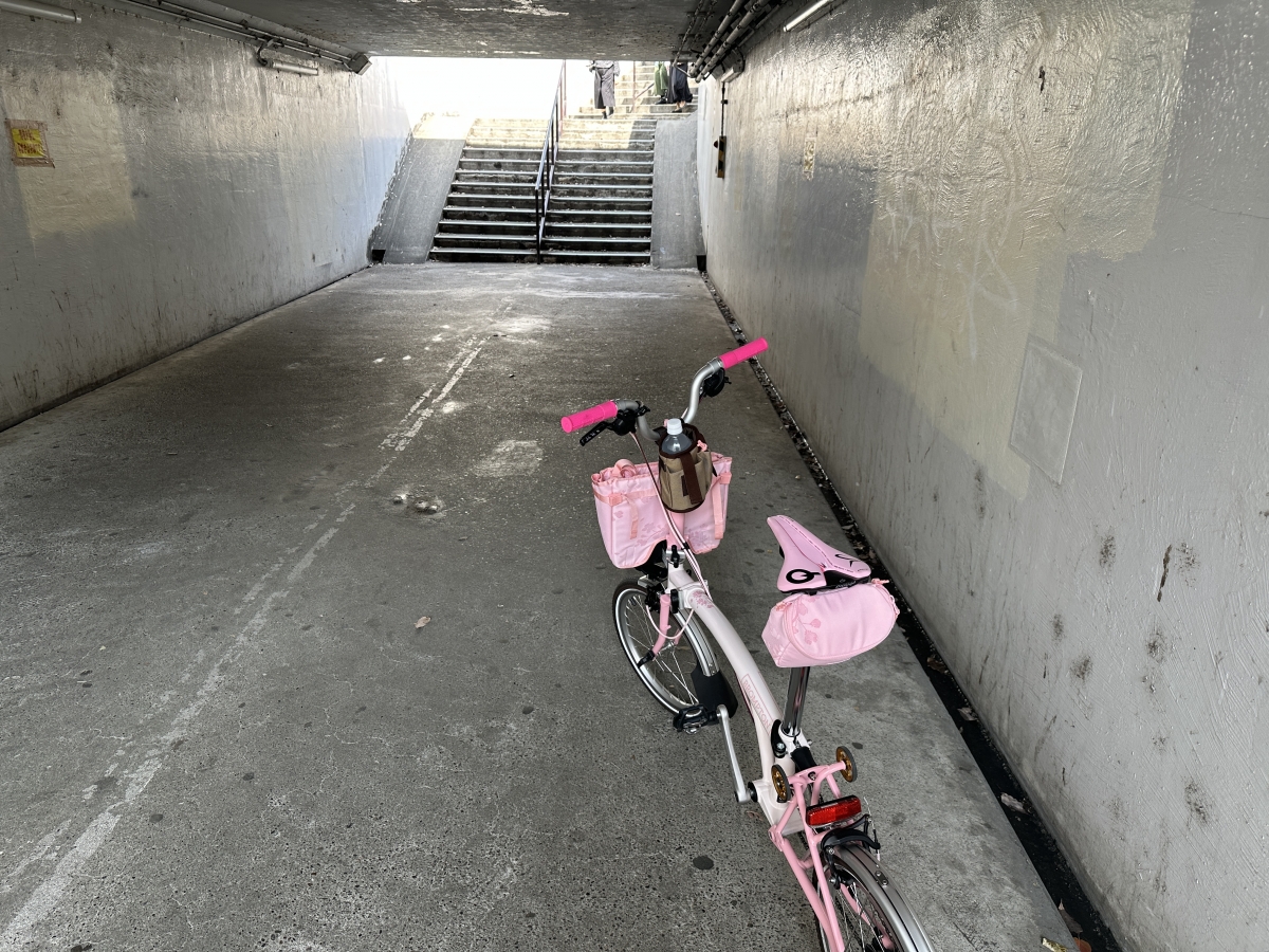 花見ライドへ。 | 大阪で自転車をお探しならY's Road 大阪本館