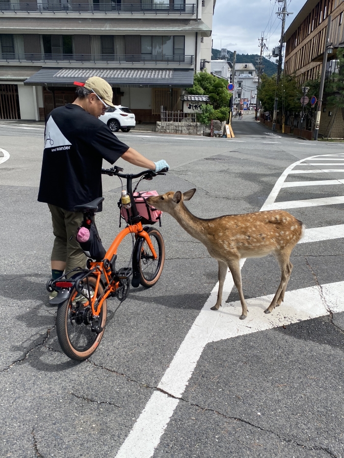 BROMPTON×and wanderコラボラゲッジ入荷！ | 大阪で自転車をお探しならY's Road 大阪本館