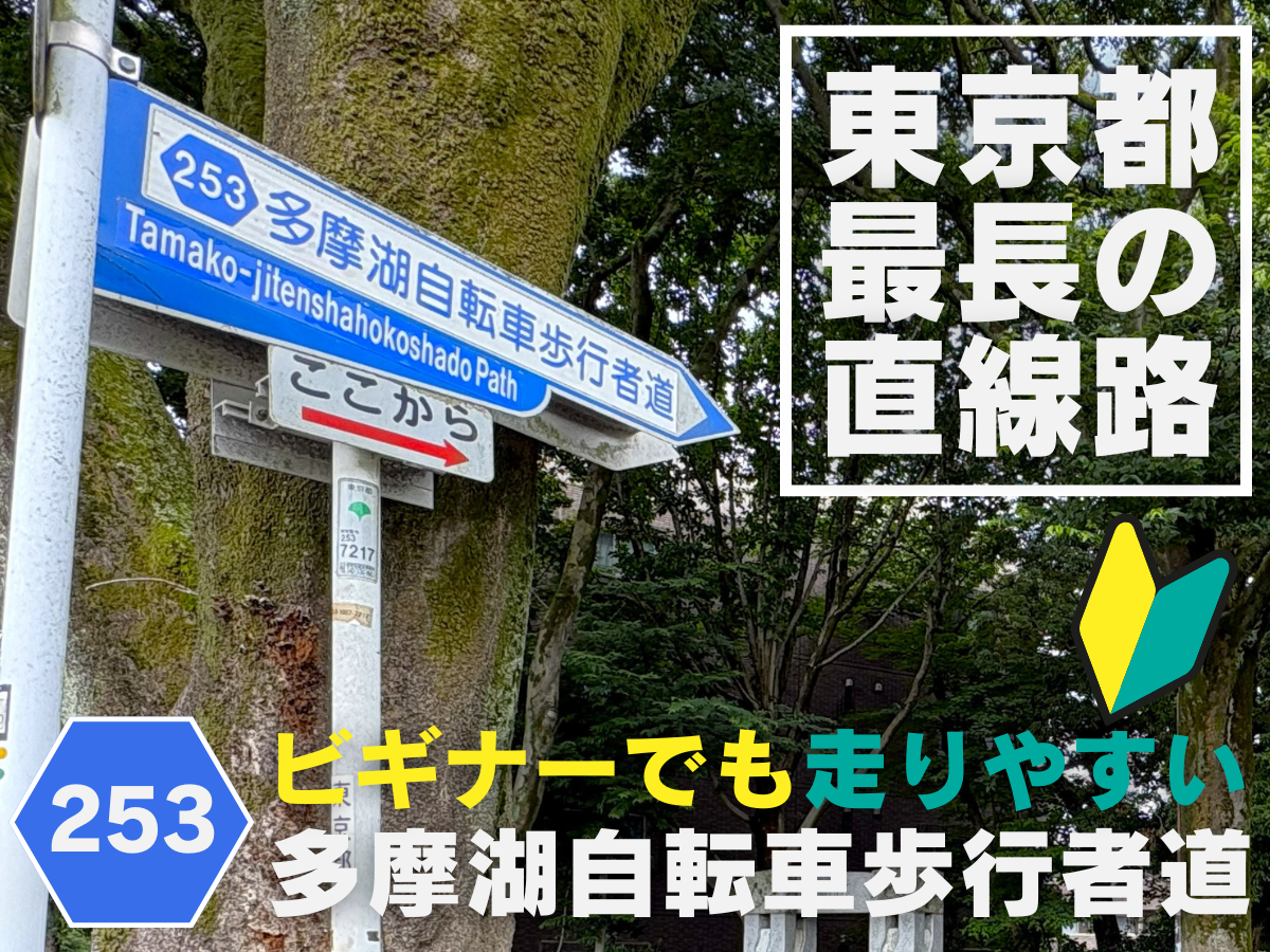 多摩湖自転車歩行者道
