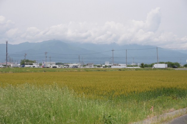 S__11599915_0