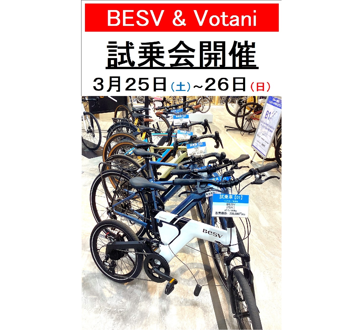 BESVandVotaniShijyoukai004