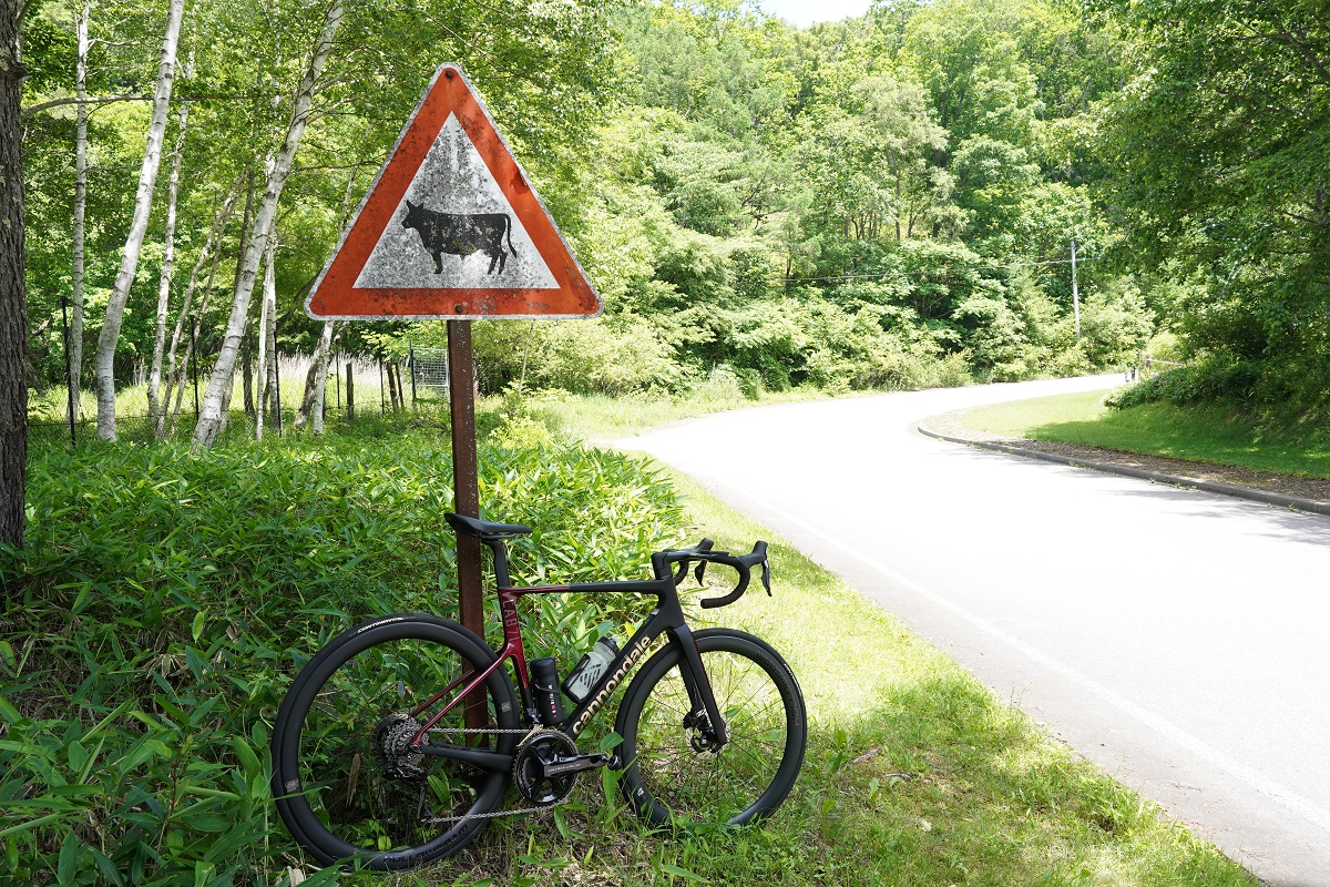 #RideCannondale　LAB71 SUPERSIX EVOで野辺山行ってきた | 新橋 銀座 港区 中央区でスポーツ自転車をお探しならY's Road 新橋店