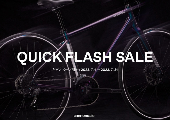 Sale Campaign media