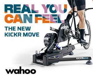 RYR23_MOVE_Digital_Ads_300x250