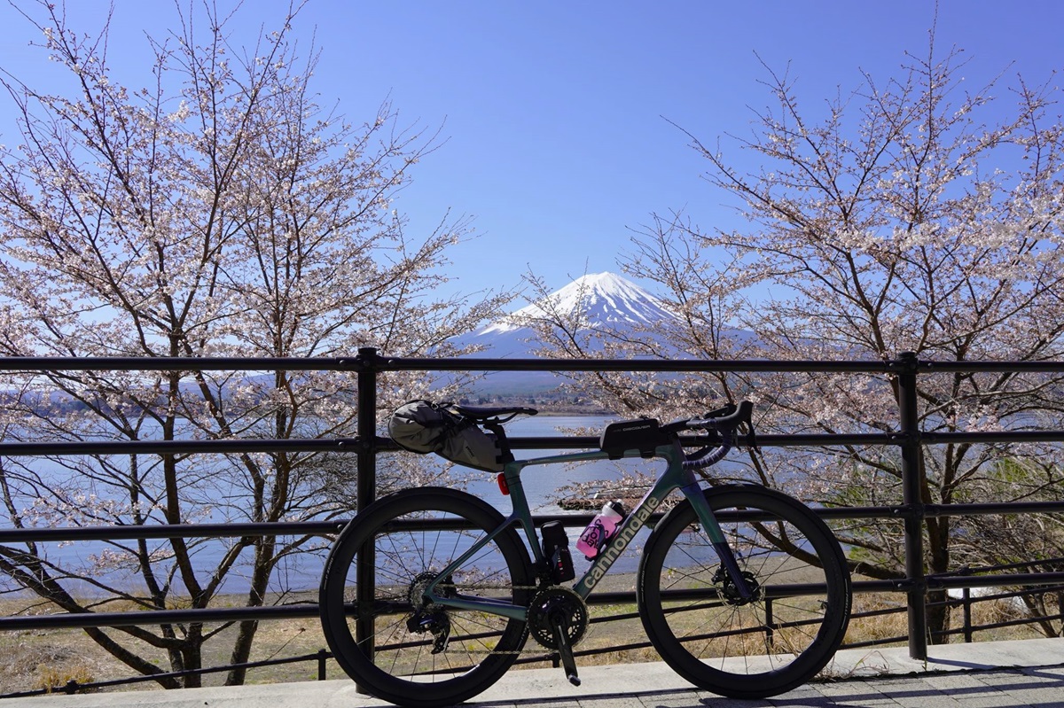 240410fujiichi_01