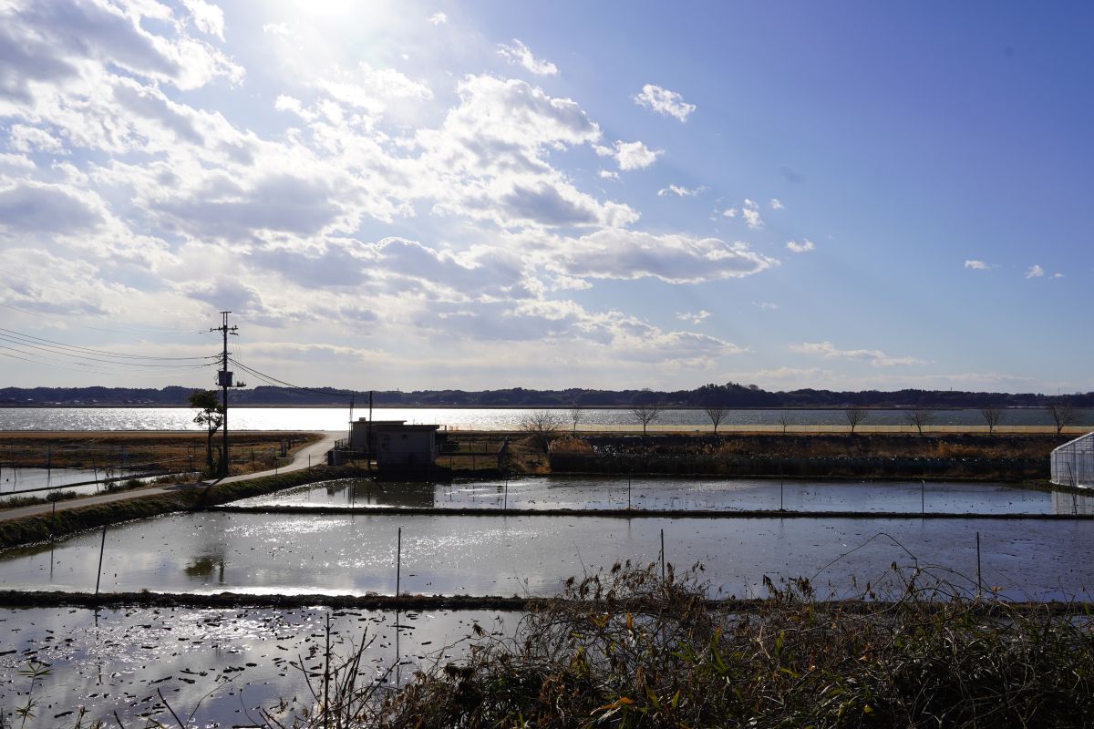 250129kasuichi_06