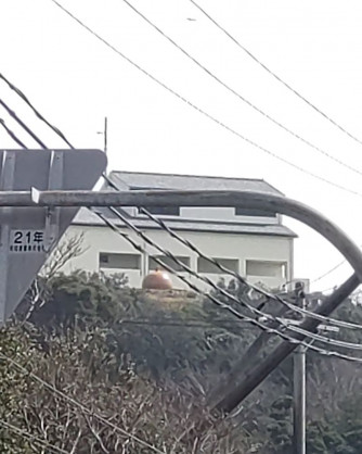 250325awaichi_06