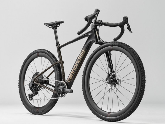 C25_Topstone_Lefty_Beauty (2)