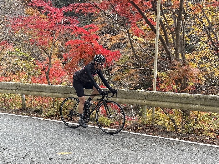 【スタッフライド】全員クロモリ‼　紅葉の奥多摩＆富士山 絶景ヒルクライム | 新橋 銀座 港区 中央区でスポーツ自転車をお探しならY's Road 新橋店