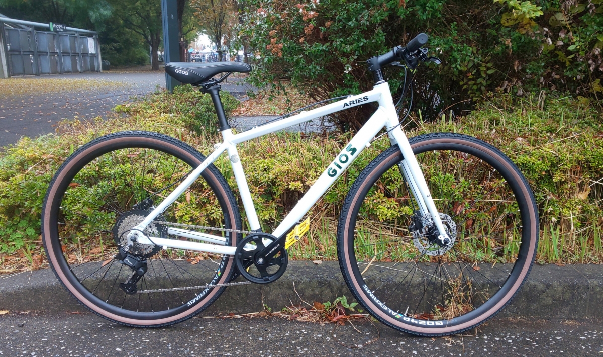 GIOS 25 ARIES