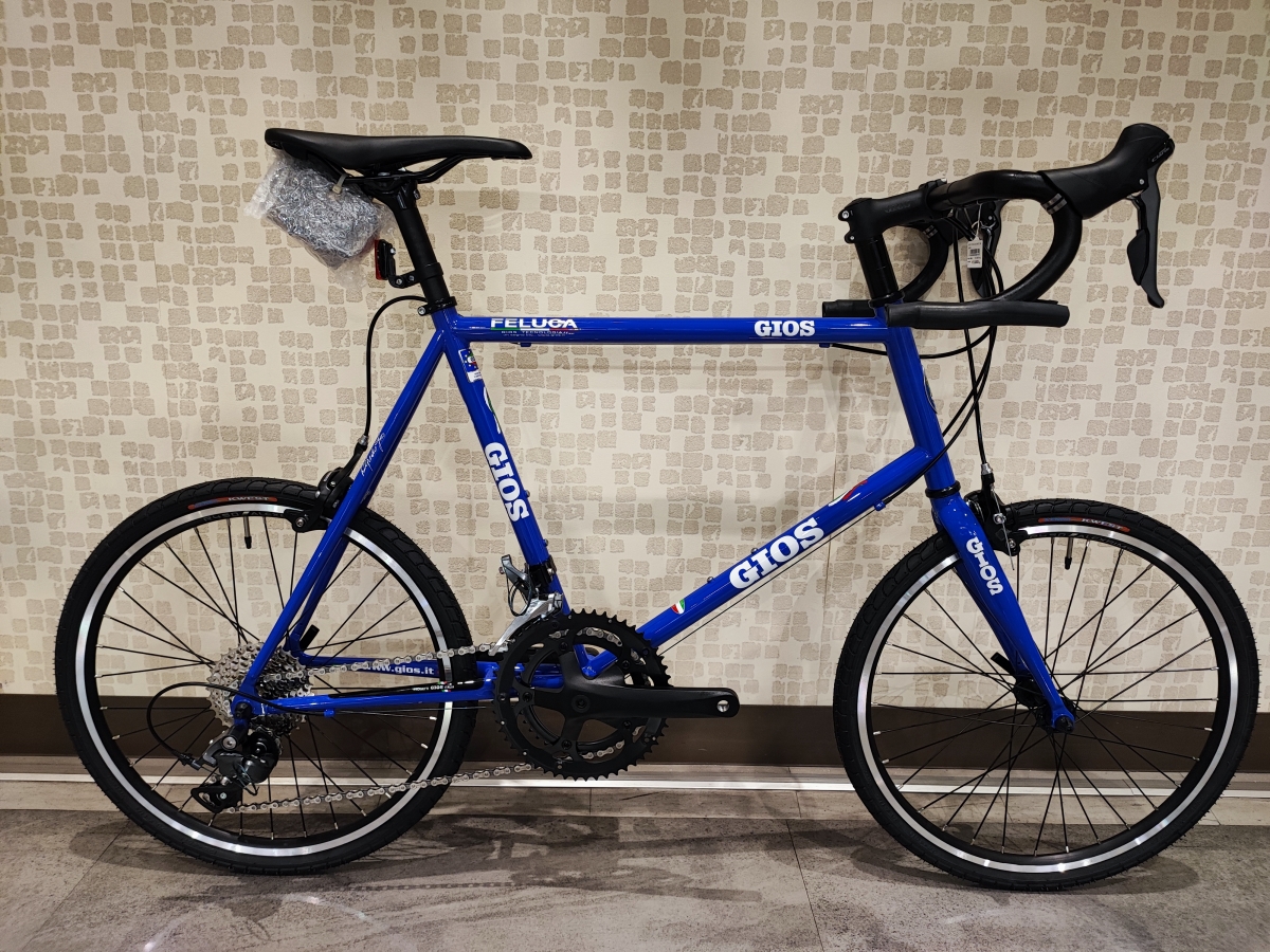GIOS 25 FELUCA CLARIS
