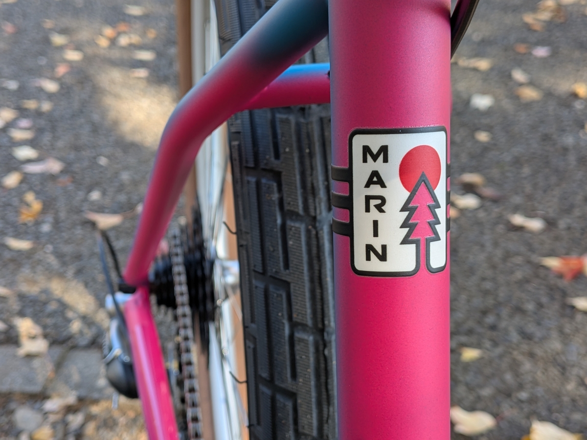 MUIRWOODS26 (2)