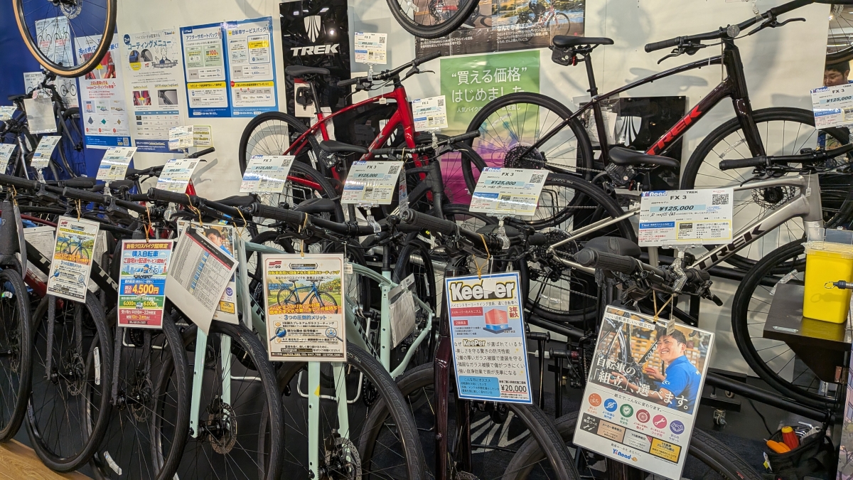 TREK FX (1)