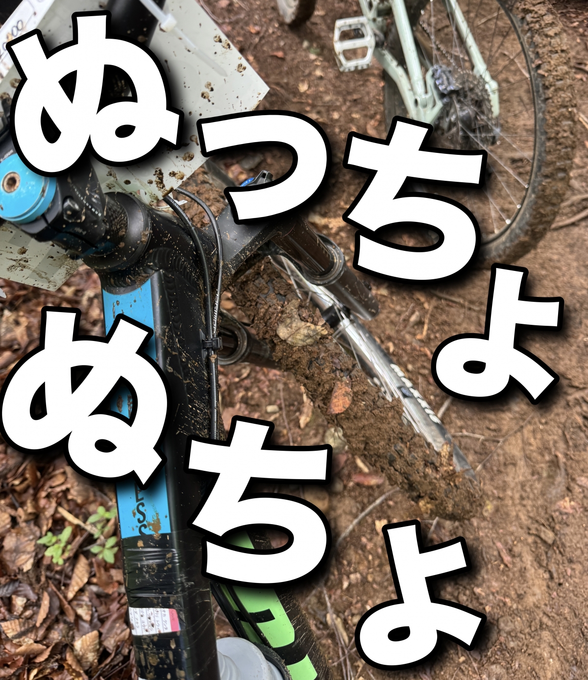 【自転車屋の夏休み】レースレポート！MTBの本格エンデューロレース【ENS野沢】に初参戦！【中編：車移動、試走、キャンプとタコパ】 | サイクルウェアのことならY's Road 新宿ウェア館
