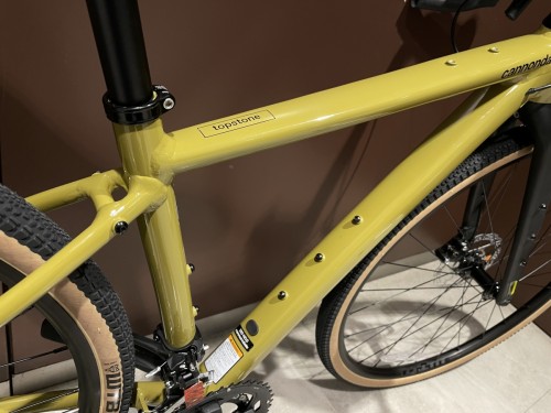 cannondale TOPSTONE 2