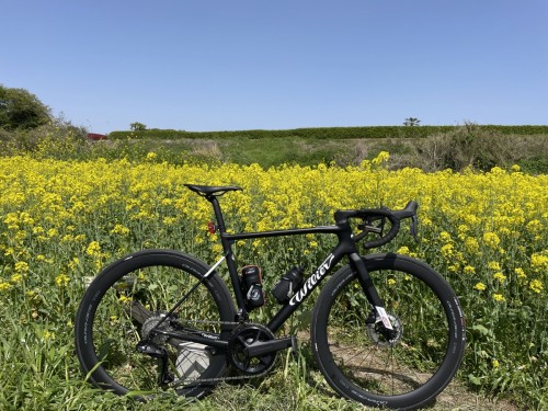 Wilier ZERO SLR